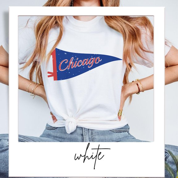 Simple Fit Chicago Baseball Vintage Shirt, T-shirt, Cubbies Fan Gift, Baseball Pennant, Baseball Fan Gift, Ballpark Gameday Fan Tee