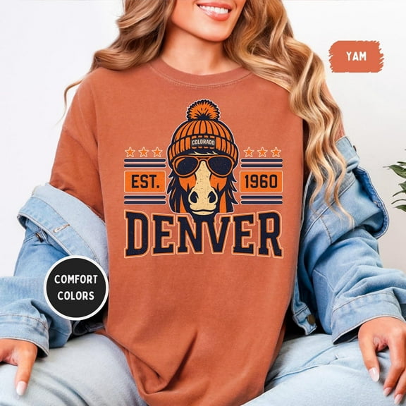 Simple Fit Vintage Denver Football T-Shirt, Unisex Tee Shirt, Denver Fan Apparel, Football Sunday Shirt, Denver Game Day Attire All Size S-5Xl
