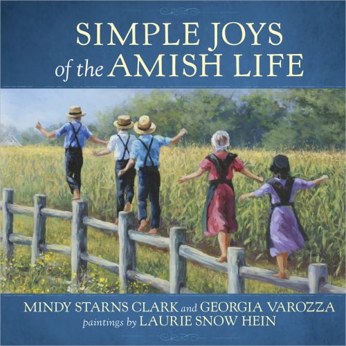 Pre-Owned Simple Joys of the Amish Life (Hardcover) 0736930035 9780736930031