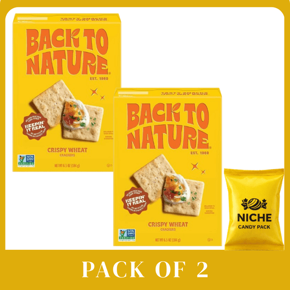 Simple Mills Crackers Pop Mmms Sour Cream & Onion - 4oz-4 pack-with candy pack