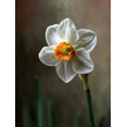thumbnail image 1 of Simple Misty Mountain Landscape Canvas Print Home Study Bedroom Wall Art, 1 of 8