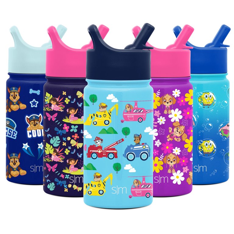 Simple Modern 14 oz Blue and Pink Viacom Insulated India
