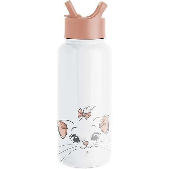 Simple Modern Disney Aristocats Water Bottle with Straw Lid Vacuum Insulated Stainless Steel Metal Thermos | Gifts Reusable Leak Proof Flask for Gym, Travel | Summit Collection | 32oz Aristocats