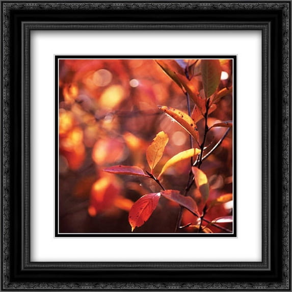 Simple Organics I 2x Matted 20x20 Black Ornate Framed Art Print by Stefko, Bob