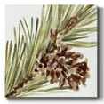 thumbnail image 1 of Simple Pine Cone I- Gallery Wrapped Canvas, 1 of 9