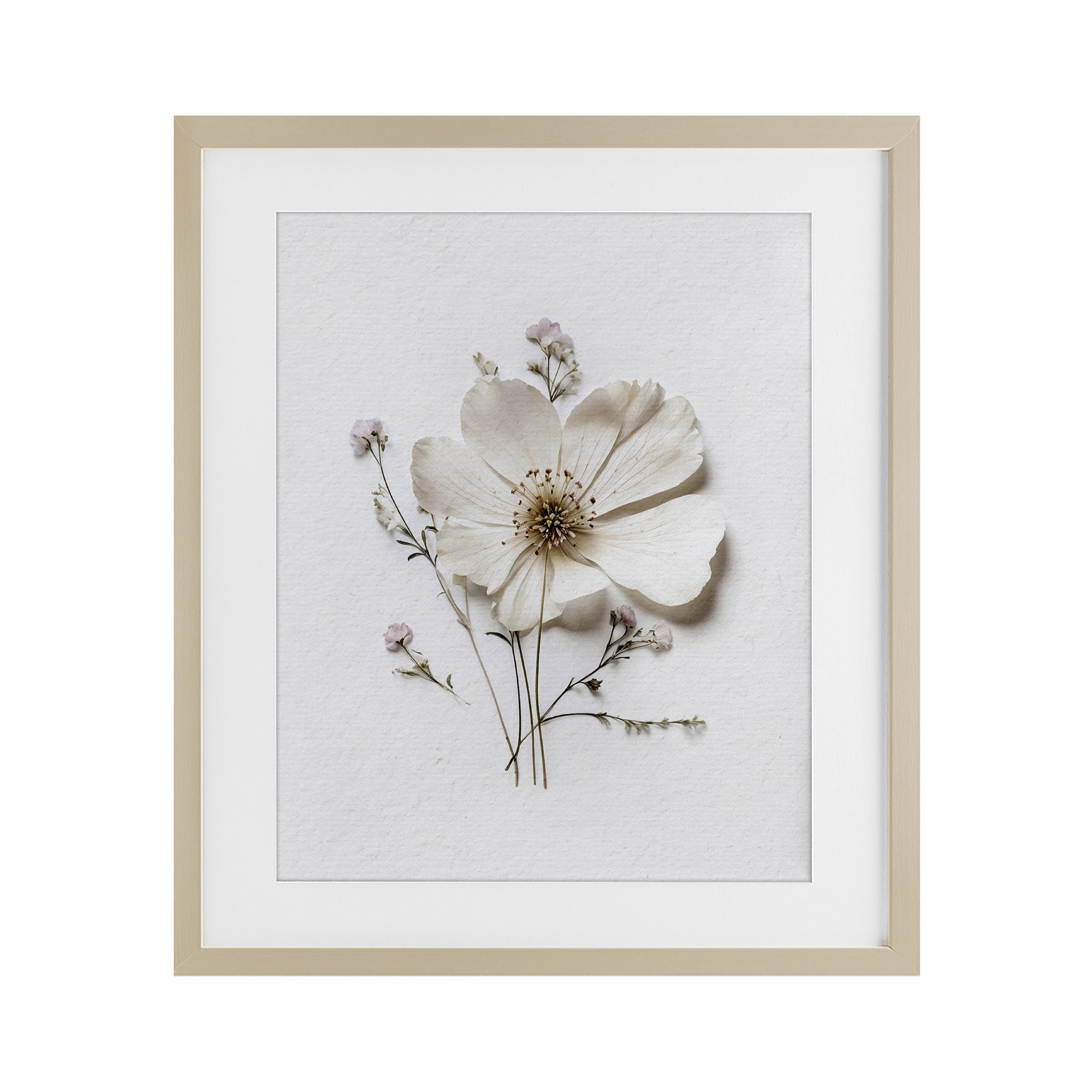 Simple Pressed Cottage Flower Birch Framed Print Under Glass, design by Lettered and Lined