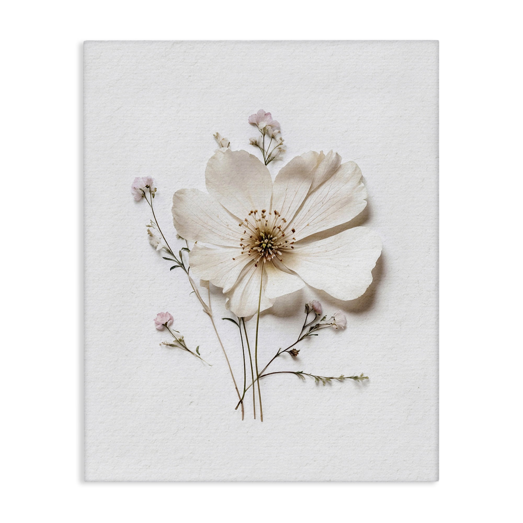 Simple Pressed Cottage Flower Canvas Wall Art, design by Lettered and Lined