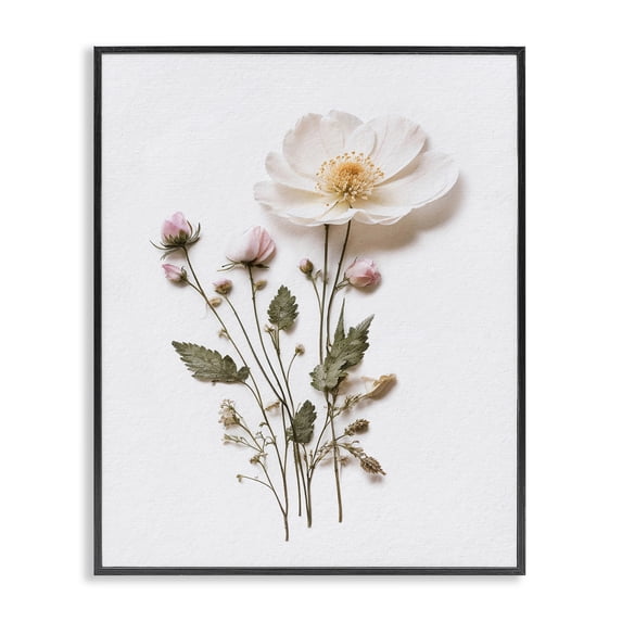 Stupell Industries Shabby Chic Simple Pressed Flowers Black Framed Giclee Art, 11 x 14, by Lettered and Lined