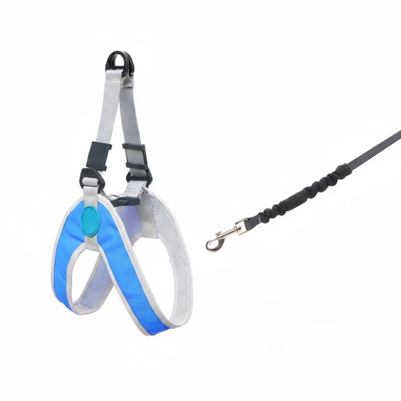 Simple Step In Dog Harness for Small Dogs, No Pull Vest with Scratch Resistant Outer, Soft Breathable Mesh for Daily Walk or Outdoor Run, Blu