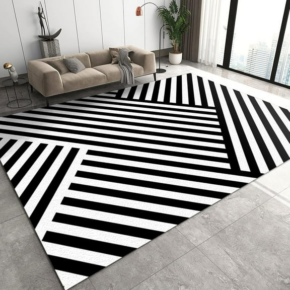 Black and White Lines Stripes Area Rugs, Modern Geometric Irregular Pattern Creativity Indoor Area Rug, Office Rug Shaggy Non-Skid Apply to Door Mats Porch Hotels,2ft x 3ft