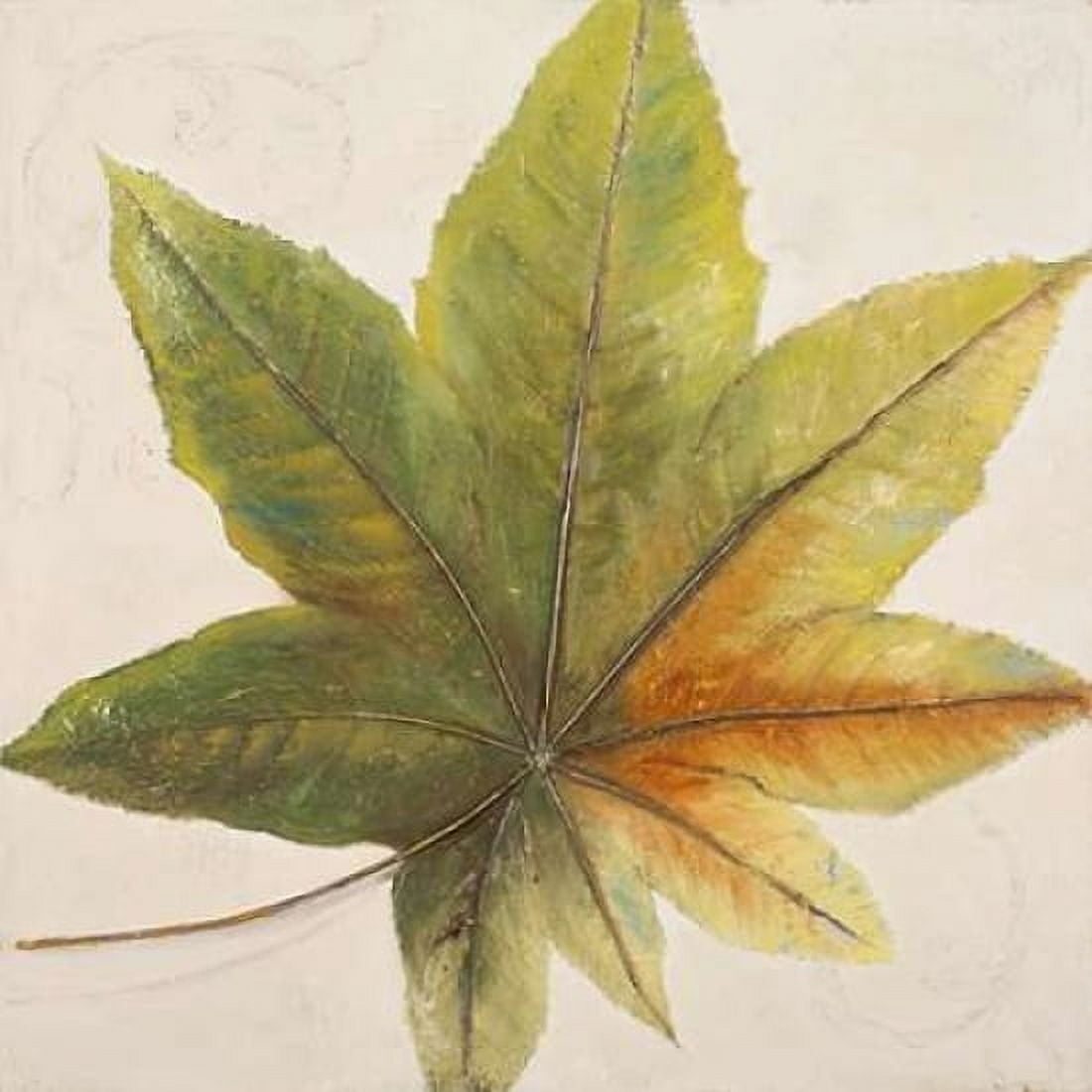 Simple and Beauty I Canvas Art - Patricia Pinto (24 x 24)