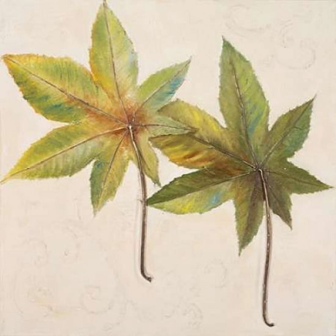 Simple and Beauty II Canvas Art - Patricia Pinto (24 x 24)