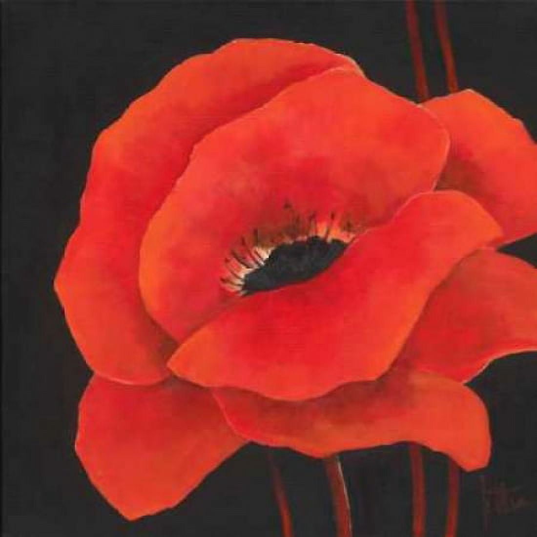 Simple red I Canvas Art - Jettie Roseboom (24 x 24)