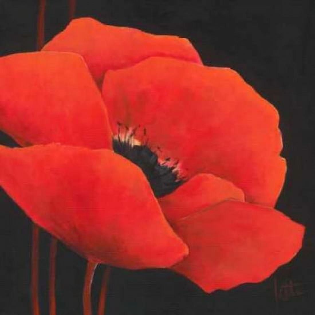 Simple red II Canvas Art - Jettie Roseboom (24 x 24)