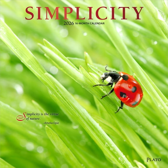 Simplicity | 2026 12x24" (Hanging) Monthly Square Wall Calendar | Plato