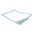 thumbnail image 1 of Simplicity Basic Disposable Underpads Fluff 17X24" 7105A 300 pads, 1 of 7