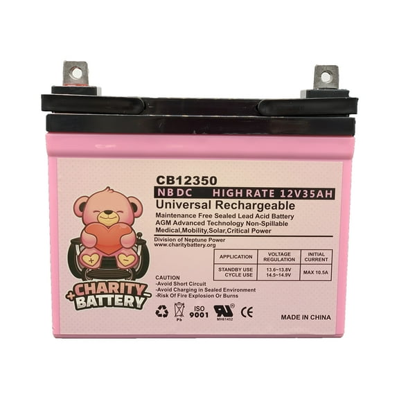 Simplicity REGENT 17H 12V 35Ah SLA Lawn mower Battery by Charity Battery