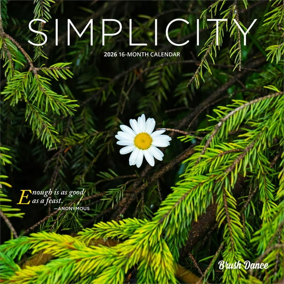 Simplicity | 2026 7x14" (Hanging) Monthly Mini Wall Calendar | Brush Dance