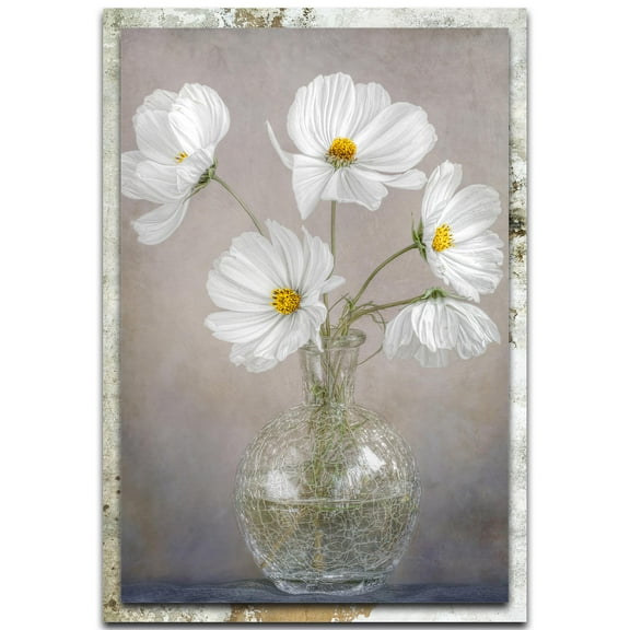 Simply Cosmos Distressed Frame