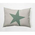 thumbnail image 1 of Simply Daisy 14" x 20" Big Star Nautical Indoor/Outdoor Throw Pillow, 1 of 3