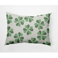 thumbnail image 1 of Simply Daisy 14" x 20" Modern, Contemporary St. Patrick's Day Polyester Decorative Lumbar Pillow, 1 of 4