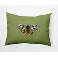thumbnail image 1 of Simply Daisy 14x20-inch Rectangle Brushfoot Butterfly Poly Pillow, Apple Green Qty 1, 1 of 3