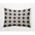 thumbnail image 1 of Simply Daisy 14x20-inch Rectangle Stars Polyester Indoor Pillow, Blue Qty 1, 1 of 3