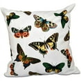 thumbnail image 1 of Simply Daisy 16" x 16" Butterflies Animal Outdoor Pillow, 1 of 1