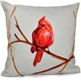 thumbnail image 1 of Simply Daisy 16" x 16" Cardinal Polyester Indoor/Outdoor Pillow, Red (1 count), 1 of 1