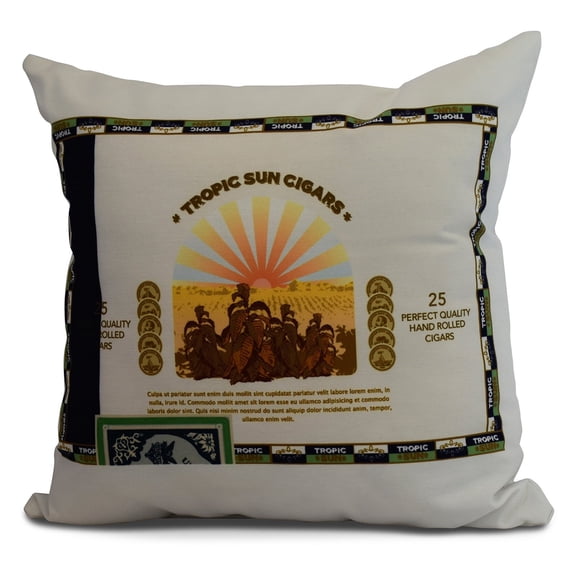 Simply Daisy, 16" x 16"E by Design Cigar Box Front Geometric Print Outdoor Pillow