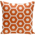 thumbnail image 1 of Simply Daisy 16" x 16" Geometric Decorative Outdoor Pillow, 1 of 1
