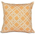 thumbnail image 1 of Simply Daisy 16" x 16" Know the Ropes Geometric Print Outdoor Pillow, 1 of 1