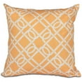 thumbnail image 1 of Simply Daisy 16" x 16" Know the Ropes Geometric Print Pillow, 1 of 2