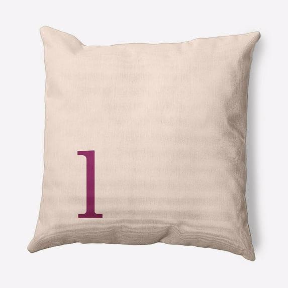 Simply Daisy 16" x 16" Modern Monogram Indoor/Outdoor Polyester Throw Pillow, Dusty Rose