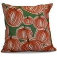 thumbnail image 1 of Simply Daisy 16" x 16" Pumpkins-A-Plenty Geometric Print Pillow, 1 of 1