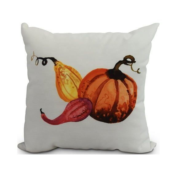 18" x 18" Simply Daisy Gourd Pile Fall Polyester Indoor/Outdoor Pillow, Ivory Qty 1