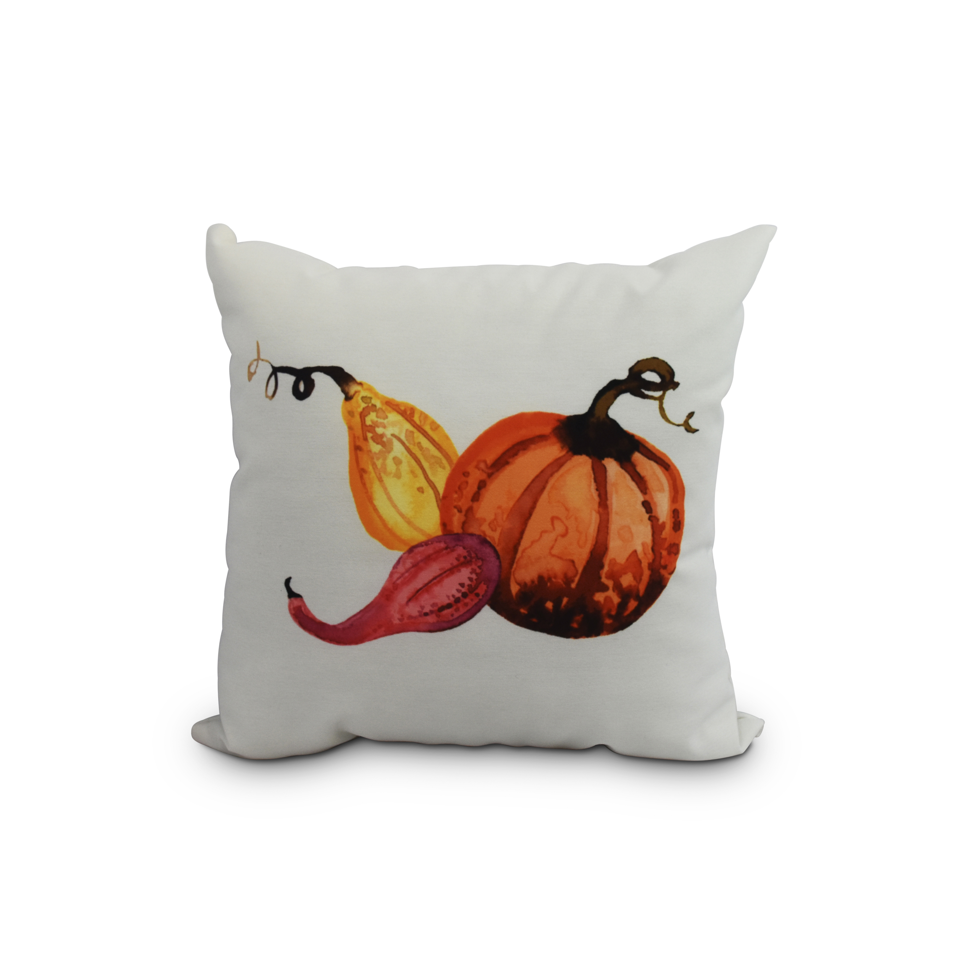 Simply Daisy, 18" x 18"Gourd Pile Cream Fall Print Outdoor Decorative Throw Pillow - image 1 of 2