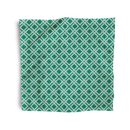 Simply Daisy 18" x 18" Green Rope Rigging Napkins, Set of 4