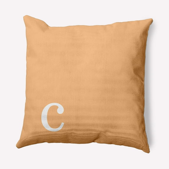 Simply Daisy 18" x 18" Modern Monogram Indoor/Outdoor Polyester Throw Pillow, Pale Gold