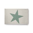 thumbnail image 1 of Simply Daisy 2' x 3' Big Star Chenille Rug, Sage, 1 of 4