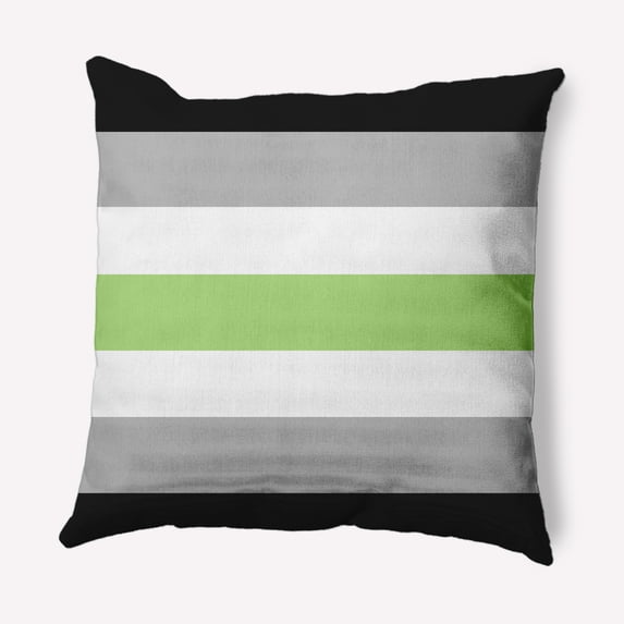 Simply Daisy 20 inch Agender Flag Decorative Throw Pillow