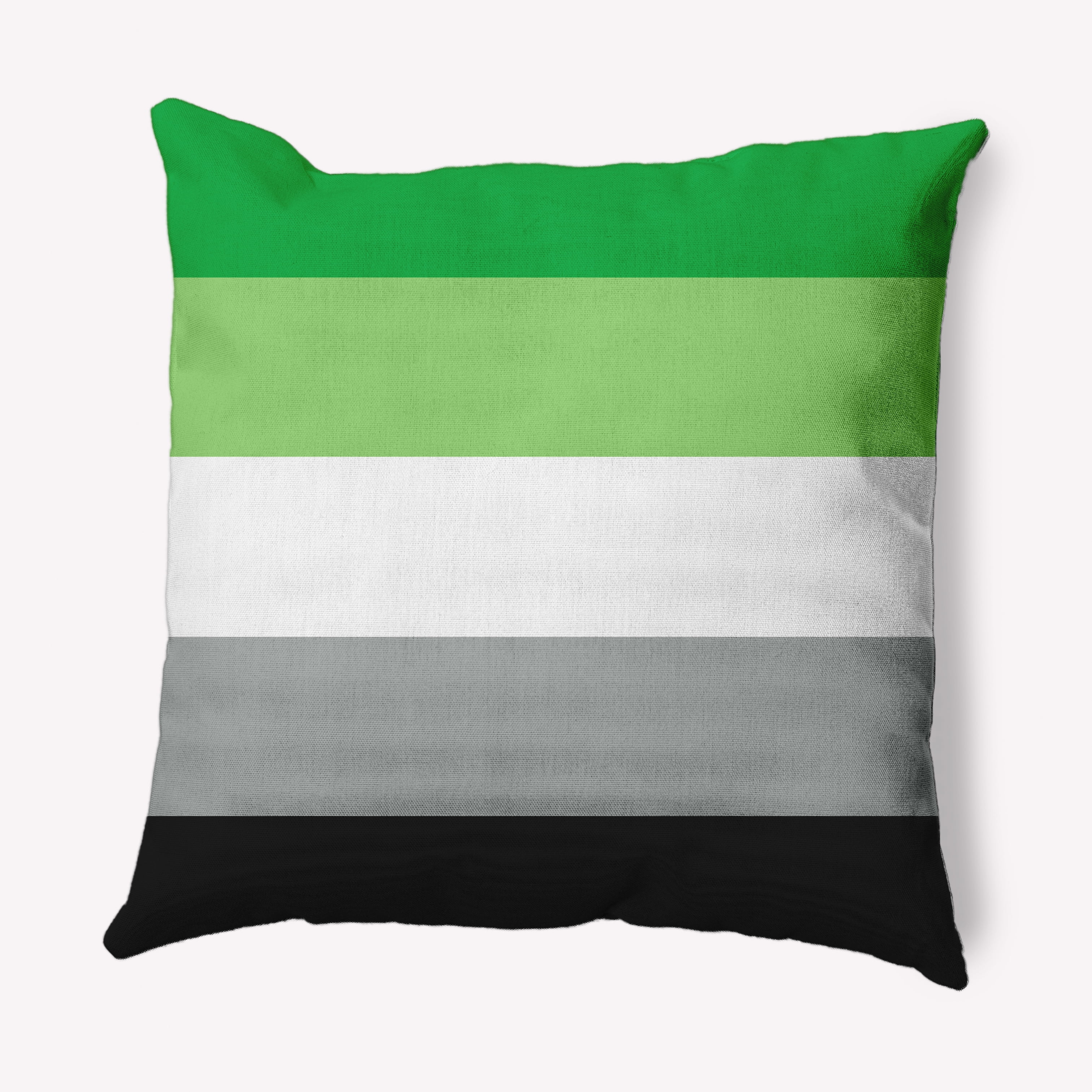 Simply Daisy 20 inch Aromantic Flag Outdoor Throw Pillow