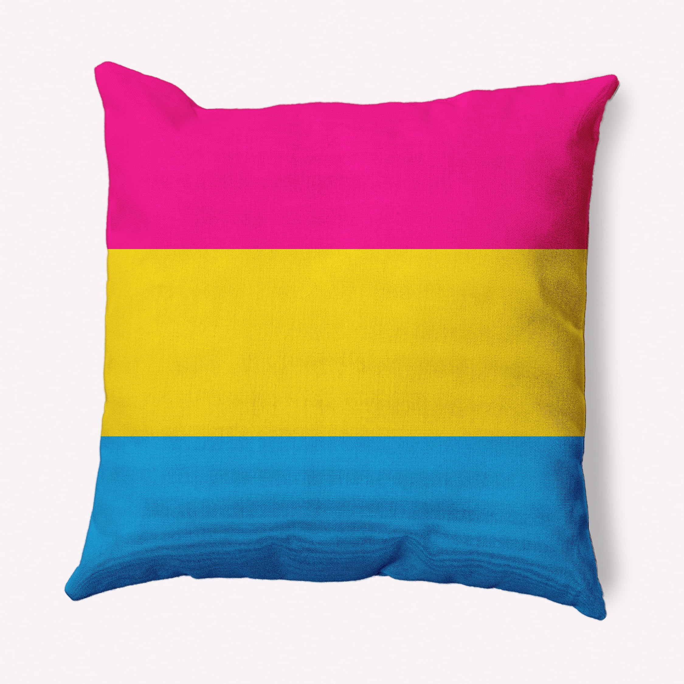 Simply Daisy 20 inch Pansexual Flag Outdoor Throw Pillow
