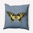 thumbnail image 1 of Simply Daisy 20-inch Square Rare Swallowtail Poly Throw Pillow, Dusty Smoke Blue Qty 1, 1 of 4