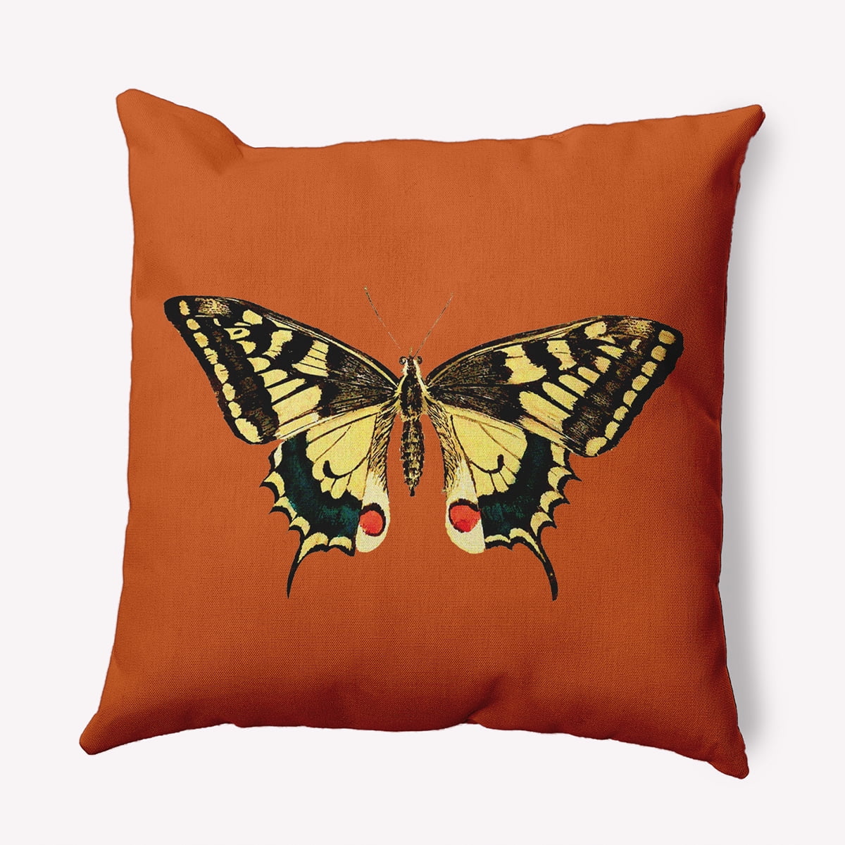 Simply Daisy 20-inch Square Rare Swallowtail Polyester Indoor Pillow, Perfect Orange Qty 1