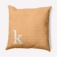 thumbnail image 1 of Simply Daisy 20" x 20" Modern Monogram Decorative Throw Pillow, Pale Gold, 1 of 3