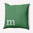 thumbnail image 1 of Simply Daisy 20" x 20" Modern Monogram Decorative Throw Pillow, Sage, 1 of 3