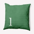 thumbnail image 1 of Simply Daisy 20" x 20" Modern Monogram Decorative Throw Pillow, Sage, 1 of 3