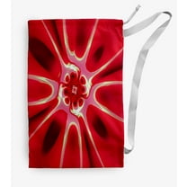 Simply Daisy Canvas Bandana Star 28 x 36 in Laundry Bag