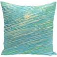 thumbnail image 1 of Simply Daisy Coastal Print Decorative Pillow, 16" x 16", 1 of 1